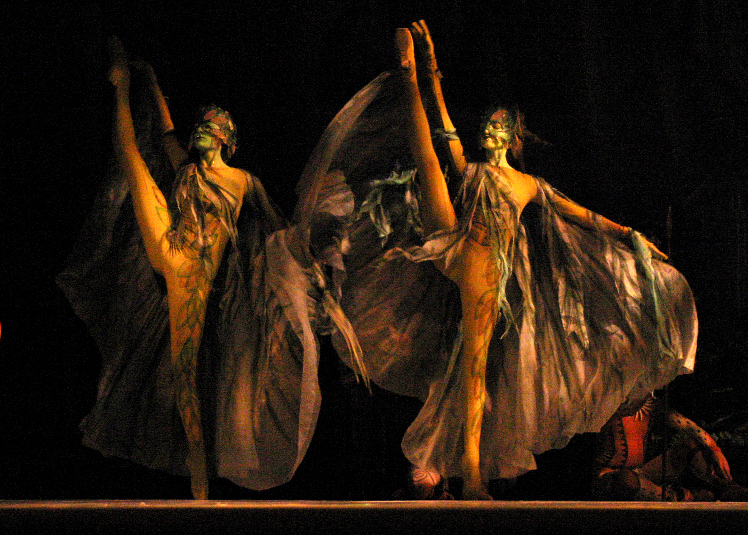 Floresta Amazônica 2000