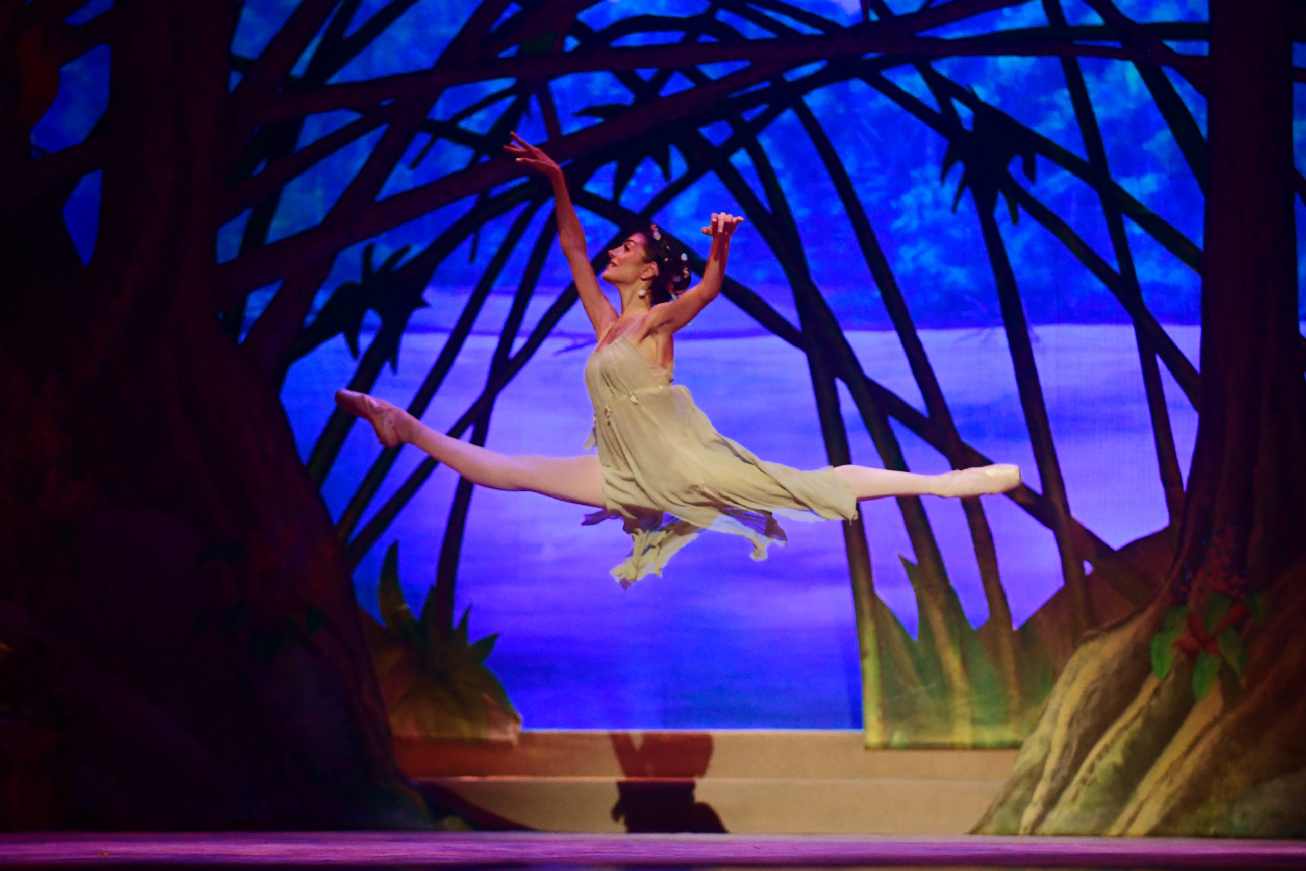 Floresta Amazônica 2023